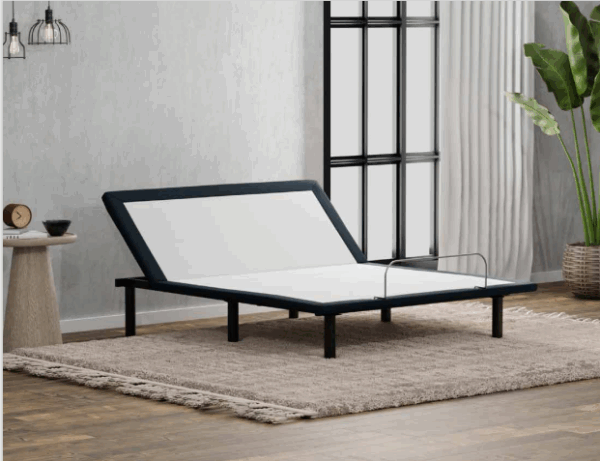 SAP100 Adjustable Base