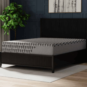 12" Reactive Mattress